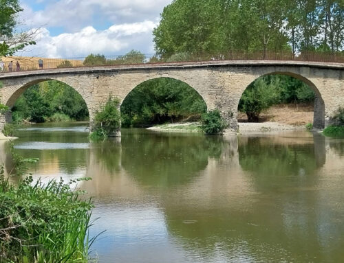 ANIR impulsa la “Ruta Scannell”