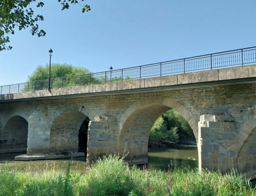 Paseo guiado por la “Ruta Scannell” en colaboración con YOAR el próximo 30 de octubre