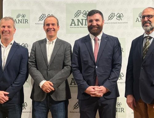 Presentación oficial en Navarra de la Asociación Navarra Irlanda y concierto inaugural del conjunto de arpas
